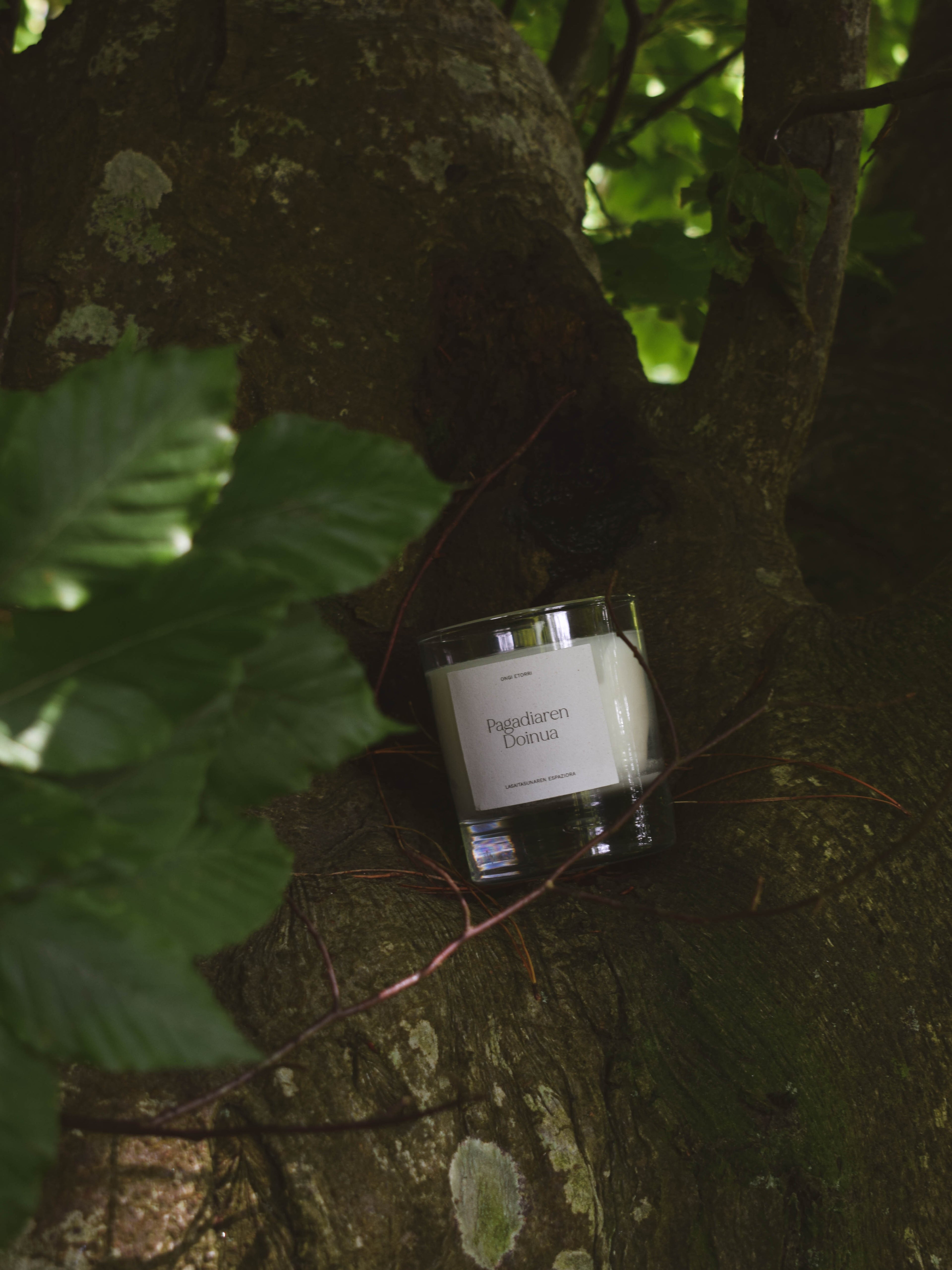 Kandela naturala | Hariztiaren doinua